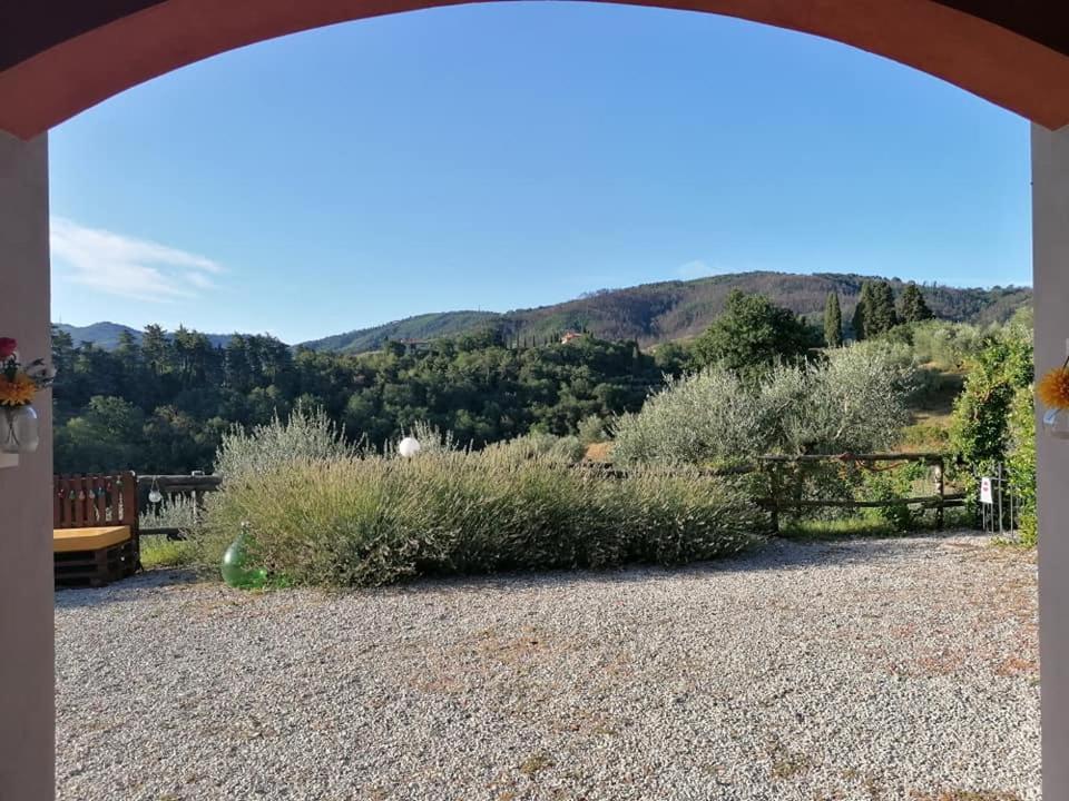 Olivia B&B And Apartment Cantagrillo Екстериор снимка