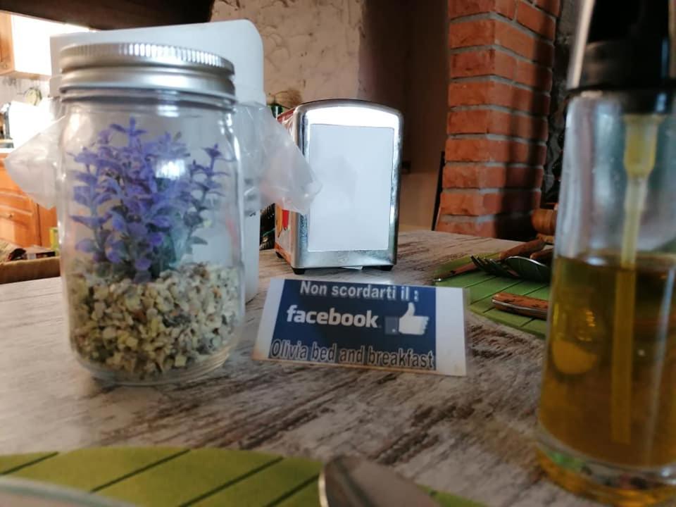 Olivia B&B And Apartment Cantagrillo Екстериор снимка